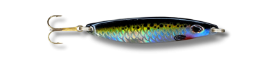 TT Sard Black Yellow Holo LF